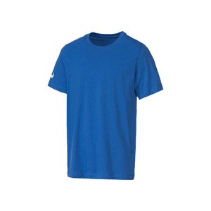 Nike Pánské funkční triko (L, modrá)