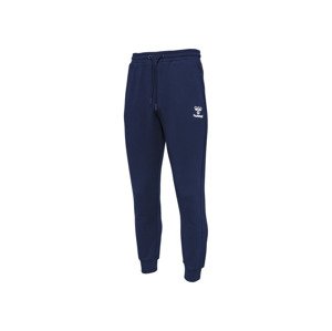 Hummel Pánské tepláky (XXL, navy modrá )