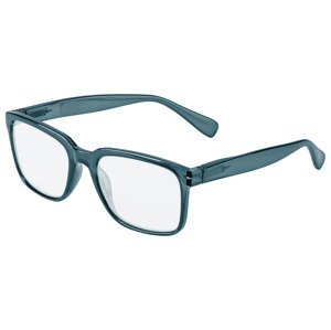 AURIOL® Brýle na čtení (+1,50, modrá)