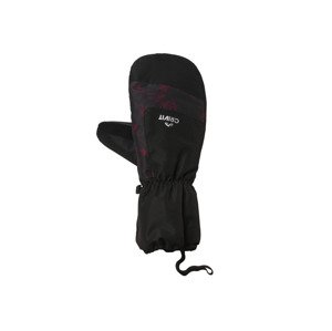 CRIVIT Pánské lyžařské rukavice (8,5, černá/palčáky)