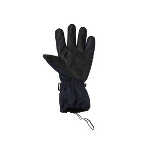 CRIVIT Pánské lyžařské rukavice (8,5, černá/rukavice)
