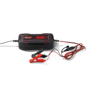 Ultimate Speed® Nabíječka autobaterií Ulgd 10 A1