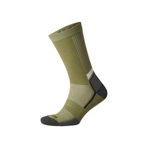 CRIVIT Pánské běžecké ponožky s BIO bavlnou (41/42, zelená)