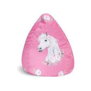 SITTING POINT Sedací vak BeanBag HORSE