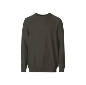 LIVERGY® Pánský svetr  (XL (56/58), zelená)