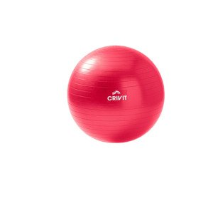 CRIVIT Gymnastický míč (55 cm)