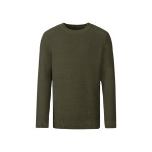 LIVERGY® Pánský svetr (M (48/50), zelená)