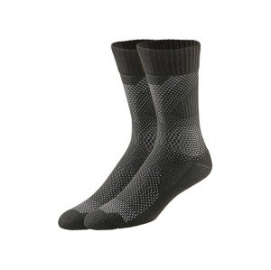 PARKSIDE® Pánské pracovní ponožky, 2 páry (39/42)