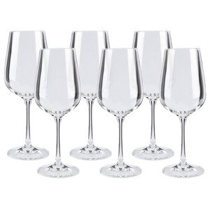 ERNESTO® Sklenice na sekt / Sklenice na bílé víno / Sklenice na červené víno / Sklenice na vodu  (sklenice na bílé víno)