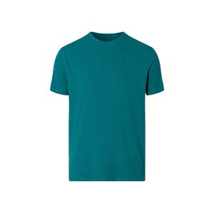 Livergy® Pánské triko (norma, M (48/50))