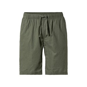 Livergy® Pánské bermudy (zelená, 54)