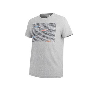 Pánské triko UEFA EURO 2024 (XL (56/58), šedá)