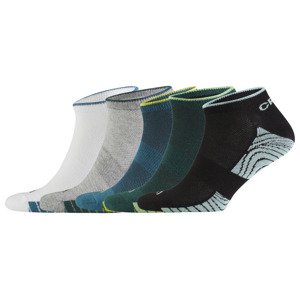 CRIVIT Pánské sportovní ponožky, 5 párů (39/42, barevná)