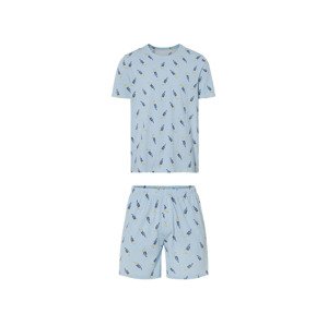 Livergy® Pánské pyžamo (ptáci, M (48/50))
