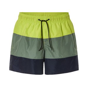 Livergy® Pánské koupací kraťasy (barevná, 4/S)