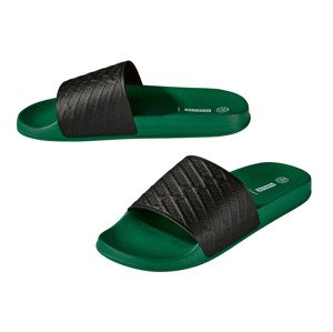 Parkside® Pánské pantofle (41, zelená)