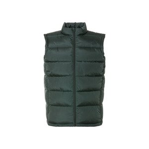 Livergy® Pánská prošívaná vesta (3Xl, zelená)