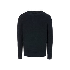 Livergy® Pánský svetr (L (52-54), námořnická modrá)