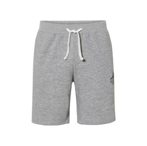 LIVERGYÂ® PĂˇnskĂ© teplĂˇkovĂ© kraĹĄasy (L (52/54), ĹˇedĂˇ)