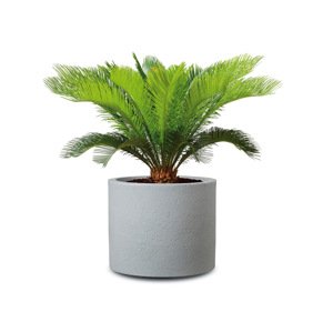 Scheurich Květináč Riva (Stony Grey, Ø 50 cm)