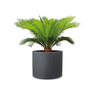 Scheurich Květináč Riva (Granit černá, Ø 50 cm)