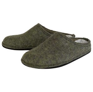 Livergy® Pánská domácí obuv (45, zelená)