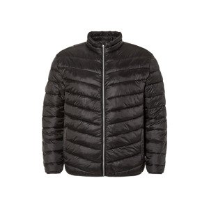 Livergy® Pánská prošívaná bunda XXL (4Xl, černá)