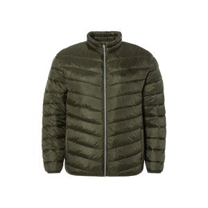 Livergy® Pánská prošívaná bunda XXL (4Xl, zelená)