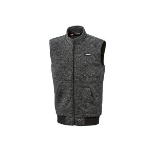 Parkside® Pánská fleecová vesta (L (52/54), šedá)