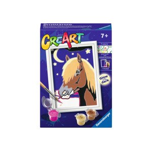 Ravensburger Malování podle čísel (Pěkný poník)