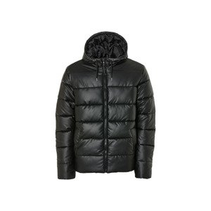 Livergy® Pánská prošívaná bunda (XL (56/58), černá)