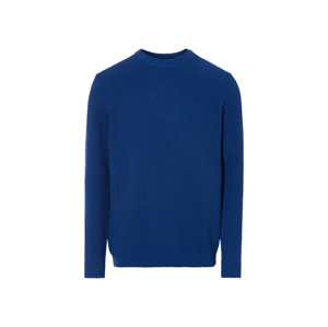 Livergy® Pánský pletený svetr (M (48/50), modrá)