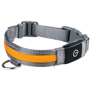 zoofari® LED obojek pro psy (Led svíticí obojek, S, S)
