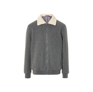 Livergy® Pánská bunda (L (52/54), šedá)