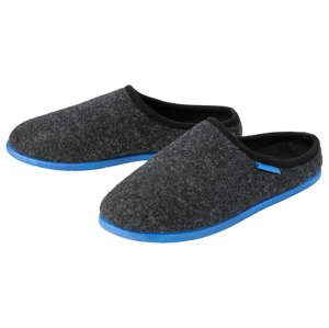 Livergy® Pánská domácí obuv (45, černá)