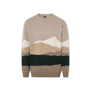 Livergy® Pánský pletený svetr (M (48/50), béžová)