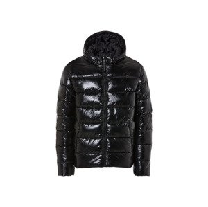Livergy® Pánská prošívaná bunda (L (52/54), černá)