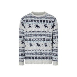 Livergy® Pánský vánoční svetr (M (48/50), krémová)