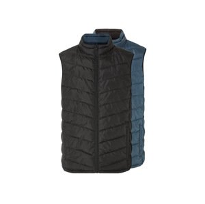 Livergy® Pánská oboustranná vesta (S (44/46), černá/modrá)