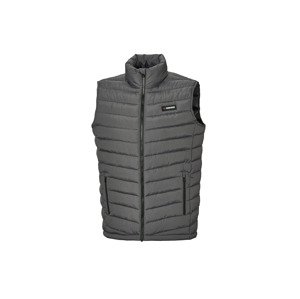 Parkside® Pánská prošívaná vesta (L (52-54), šedá)
