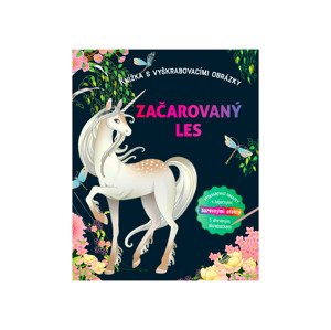 Dětská kniha s vyškrabovacími obrázky (Začarovaný les)