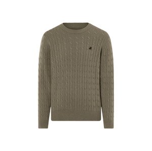 Livergy® Pánský svetr (L (52/54), hnědá)