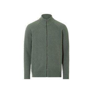 Livergy® Pánský pletený svetr (L (52/54), zelená)