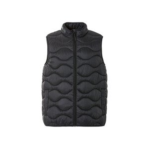 Livergy® Pánská vesta (L (52/54), černá)
