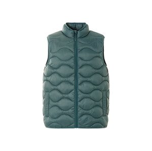 Livergy® Pánská vesta (M (48/50), zelená)