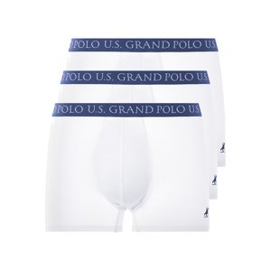 Livergy® Pánské boxerky, 3 kusy (bílá / námořnická modrá / modrá, 7/Xl)