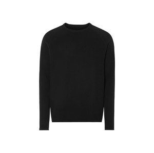 Livergy® Pánský svetr (černá, L (52/54))
