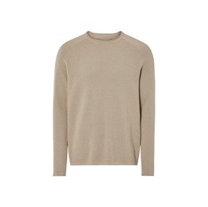 Livergy® Pánský svetr (béžová, S (44/46))
