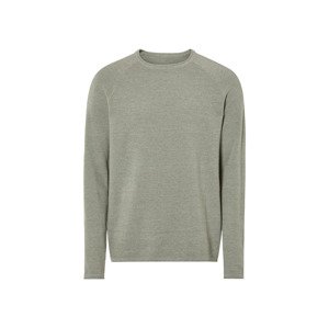 Livergy® Pánský svetr (zelená, XL (56/58))