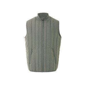 Livergy® Pánská vesta (zelená, L (52/54))
